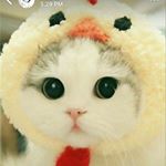 Profile Picture of Kate Terry (@kitty_kat.e) on Instagram