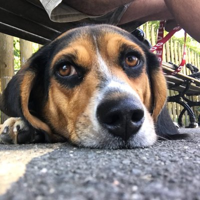 Profile Picture of Mark Winnie (@mrwtpooh) on Twitter