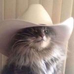 Profile Picture of żäçk Bëłłïšôń (@ig.zack_bellison) on Instagram