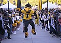 Profile Picture of Herky the Hawkon Wikipedia