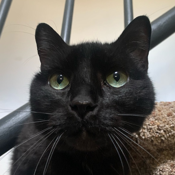 Profile Picture of Patrick Buie (@patrickbuie) on Poshmark