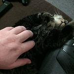 Profile Picture of James Mackenzie (@n00bxqb1) on Flickr