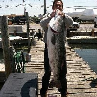 Mike DuBritz - Twitter Profile Picture of Mike DuBritz (@MikeDuBritz) on Twitter