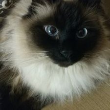 Profile Picture of Mark Kocher (@MarkKocher3) on Twitter