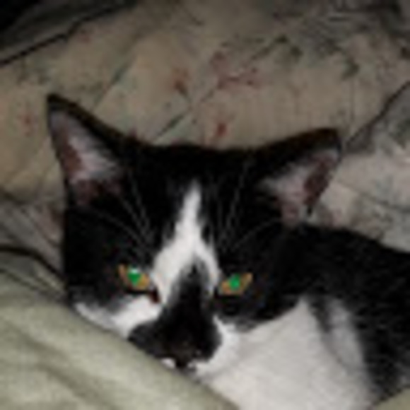 Profile Picture of Kathya Angola (@kathyaangola) on Poshmark