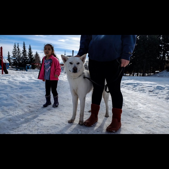 Profile Picture of Xinlin Zhao (@xinlinzhao) on Poshmark