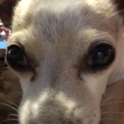 Profile Picture of Andrew Oney T (@oneysptwd) on Twitter