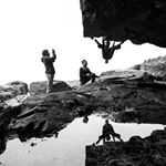 Profile Picture of Thomasina Pidgeon (@pijonbird) on Instagram