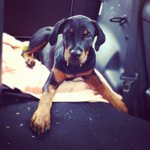Profile Picture of Steve Kressin (@stevekressin) on Instagram