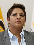 Profile Picture of Maria Jose Carrionon Wikipedia