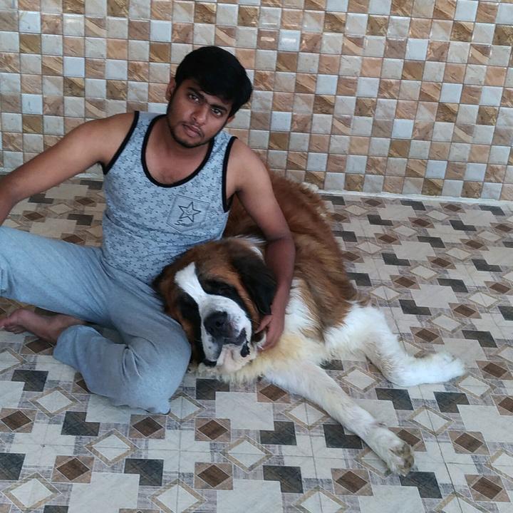 Profile Picture of   Barry & leo (@barry..leo)... (@barry..leo) on Tiktok