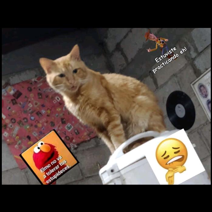 Profile Picture of Matthew Castañeda (@matthew2620t) on Tiktok