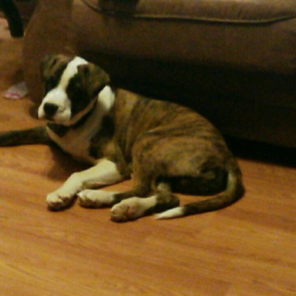 Profile Picture of Kimberley Causey (@kimberleycausey) on Poshmark