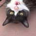 Profile Picture of Albert Meredith (@albert.cat.319) on Facebook