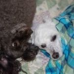 Profile Picture of Brad Perry (@bradperry1969) on Instagram