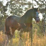 Profile Picture of Eleanor Webber (@eleanorwebberphotography) on Instagram