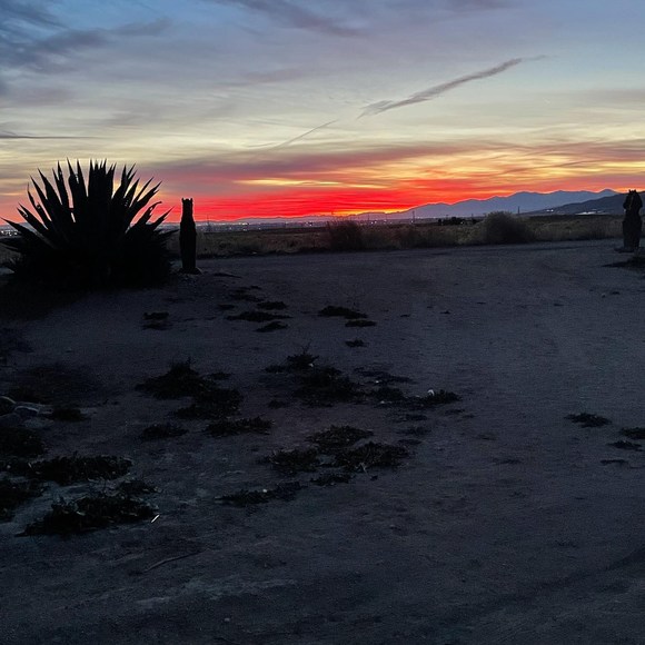 Profile Picture of Carlie Foxx (@carlie_foxx) on Poshmark