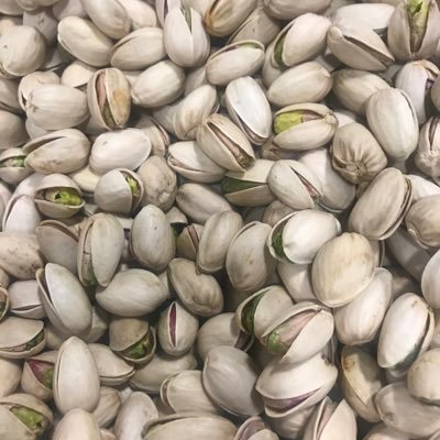 Profile Picture of Abbas Yazdi (@Mobarezah) on Twitter