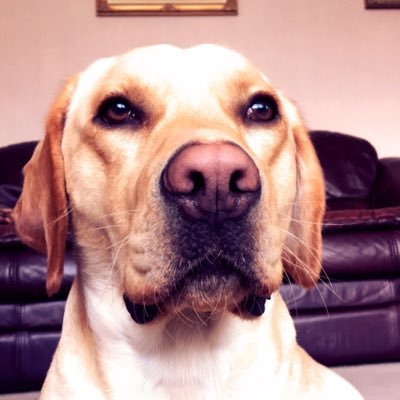 Profile Picture of Ben Bowker (@benbowker4) on Twitter