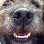 Profile Picture of sᴛᴀɴʟᴇʏ (+ʀᴜʙʏ) (@bordermanstan) on Instagram
