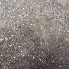 Profile Picture of James Mould (@james.mould2) on Tiktok