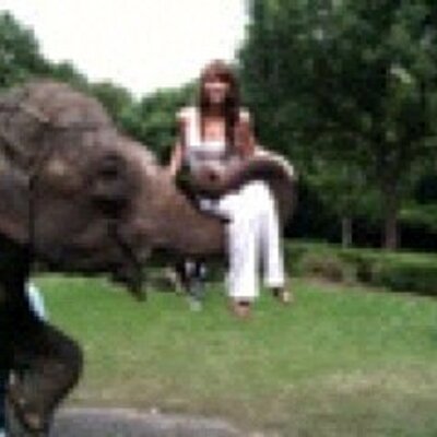 Profile Picture of Sam Liddle (@liddle_sam) on Twitter