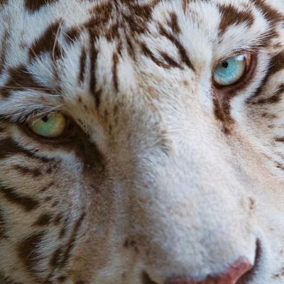 Profile Picture of Dávid.Bobaľ (@BobalDavid5) on Twitter