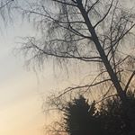 Profile Picture of Jenni Behm (@jenni___behm) on Instagram