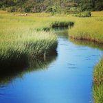 Profile Picture of Amanda Aronson (@nature_lovingirl) on Instagram