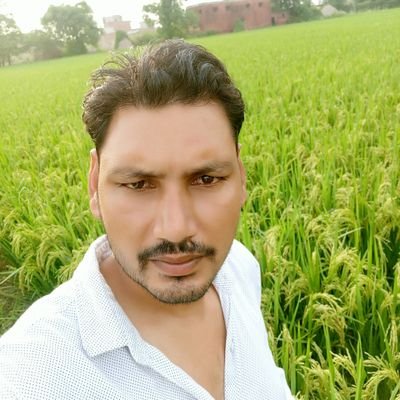 Profile Picture of Rajiv Goswami (@rajivg537) on Twitter