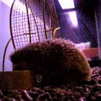 Profile Picture of James Dehn (@james-dehn-3) on Quora