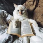 Profile Picture of Everett Erickson (@everettericksone2lrz) on Instagram