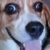 Profile Picture of Richard Shields909 (@richardshields909) on Tiktok