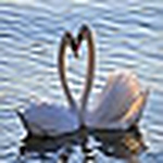 Profile Picture of Kim Thy _ Huy Phong (@kim thy _ huy phong) on Flickr