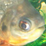 Profile Picture of Scott Garver (@colder2019) on Instagram