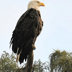 Matthew Dalton - Flickr Profile Picture of Matthew Dalton (@matthewdaltonphotos) on Flickr