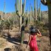 Profile Picture of Sheila Blevins (@blevins0277) on Pinterest