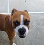 Profile Picture of Brian Laska (@blaska1) on Facebook