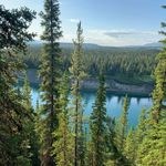 Profile Picture of Kiersten O’Brien Jackson (@kierstenobrienj) on Instagram