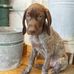 Profile Picture of Cindy CoppWaterfield (@cindy.coppwaterfield.96) on Facebook