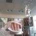 Profile Picture of Kevin Ralphie McEwen (@kevin.r.mcewen.1) on Facebook
