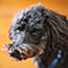 Profile Picture of Andrew Martyn (@Andrew Martyn) on Flickr