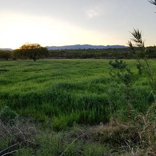 Profile Picture of Lola Llamas (@lola.llamas.982) on Facebook