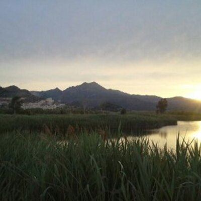 Profile Picture of Iván Cañas (@Ivancg88) on Twitter