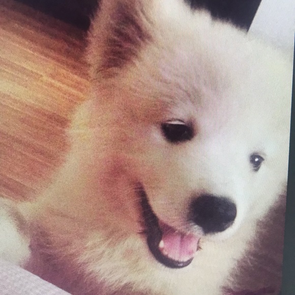 Profile Picture of Lawrence Skinner (@lawrenceskin601) on Poshmark