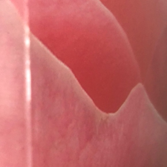 Profile Picture of Justine Conklin (@glassgirlj) on Poshmark