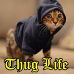 Jacob Whitacre - Instagram Profile Picture of Jacob Whitacre (@123lil_t_____101) on Instagram