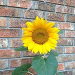 Hugh Warren - Instagram Profile Picture of Hugh Warren (@inspabundance) on Instagram