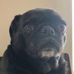 Profile Picture of Louis Simon Sandoval (@zerwyt) on Instagram