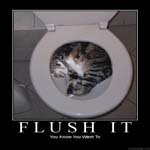 Profile Picture of _Kevin_Raynor_ (@_kevin_raynor_w) on Instagram